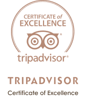 award_tripadvisor